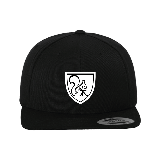 Snapback Snapback
