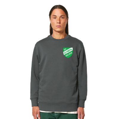 Bio-Sweatshirt