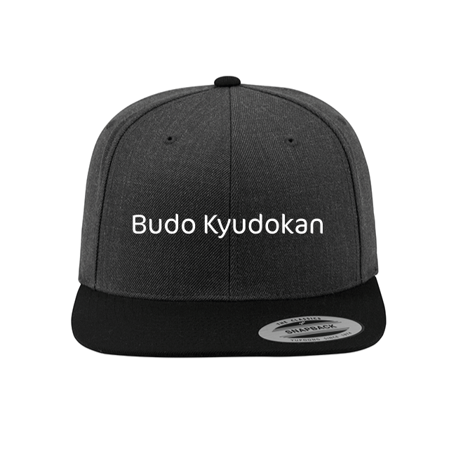 Snapback Snapback